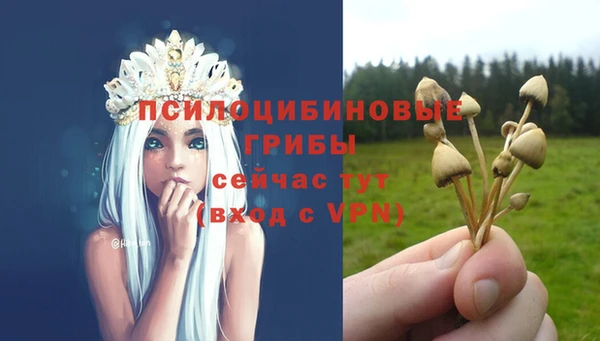 ГАЛЛЮЦИНОГЕННЫЕ ГРИБЫ Балахна