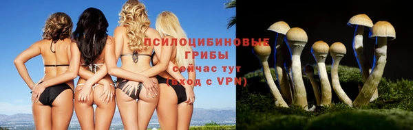 соль ск Арсеньев