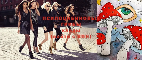 соль ск Арсеньев