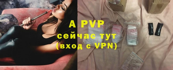 ГАЛЛЮЦИНОГЕННЫЕ ГРИБЫ Бикин