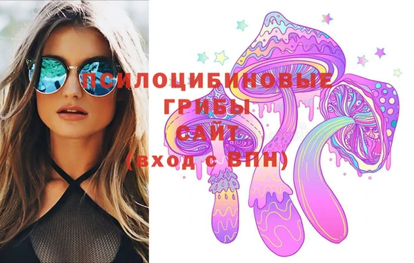 ГАЛЛЮЦИНОГЕННЫЕ ГРИБЫ Балахна