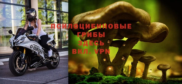 a pvp Армянск