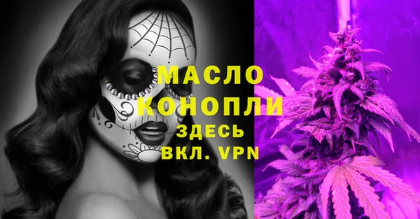индика Балабаново
