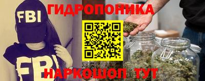 амф Бийск
