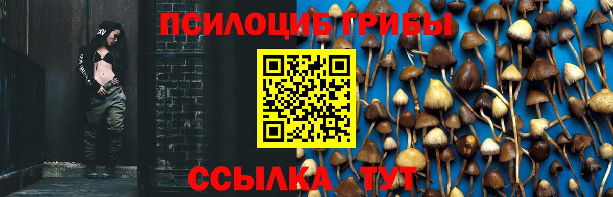 Галлюциногенные грибы прущие грибы Губкинский