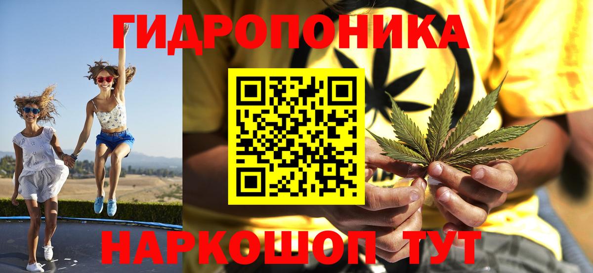 Бошки Шишки индика Губкинский